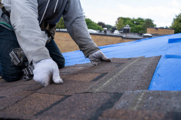 Best Roof Ventilation Installation  in Martin, TN