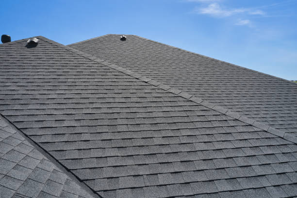 Best Roof Coating Services  in Martin, TN